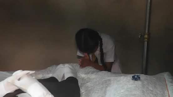 38612281 2187555758198018 7840208296265908224 n