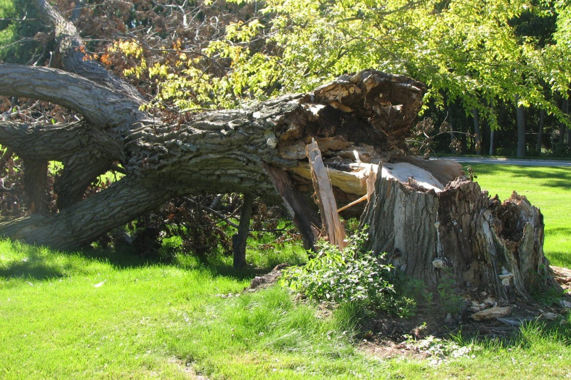 දැඩි සුළගින් දේපළ හානි රැසක්