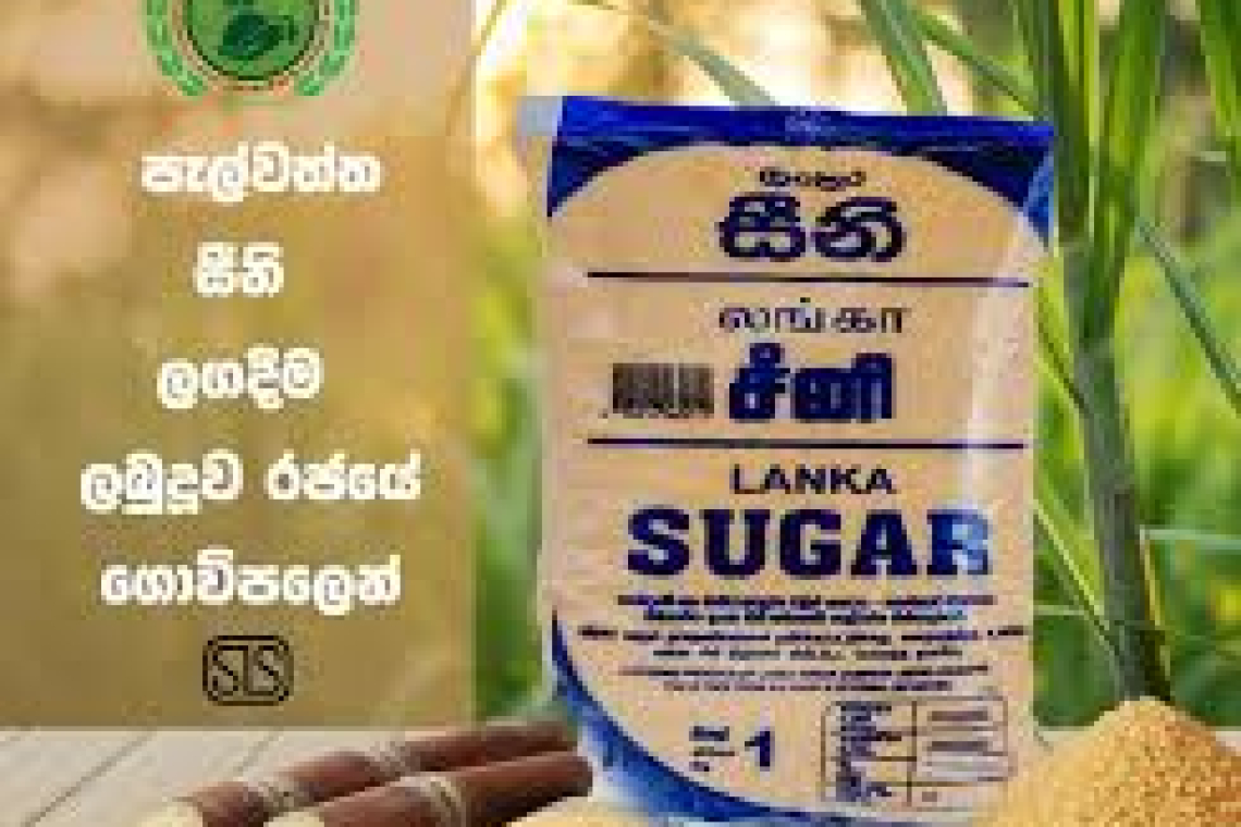 පැලවත්ත සීනි උග‍්‍ර මුල්‍ය අර්බුදයක.. පඩි ගෙවන්න කිලෝවකින් 84ක් පාඩුවට සීනි ටොන් 500ක් විකුණලා..