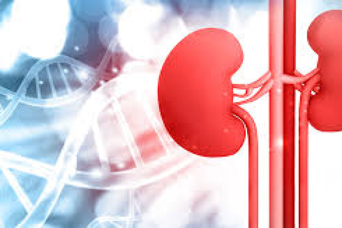 වකුගඩු රෝගීන්ට අවශ්‍ය ඖෂධ රැසක් රෝහල්වල නෑ !! පිටතින් මිලදී ගැනීමට සිදුවීමෙන් රෝගීන් ජීවිත සටනක