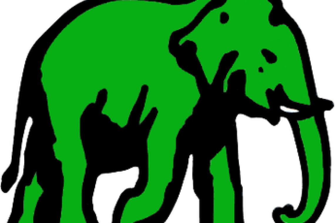 එජාපයේ සැලොන් දොර අරී