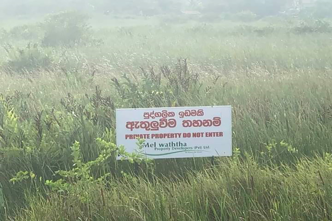 මැල්වත්ත ඉඩම් සමාගම මුතුරාජවෙල ඉඩම් කට්ටි කර විකිණිමට යයි 