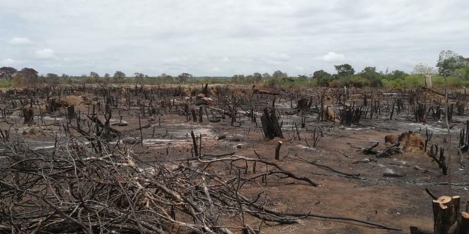 118700824 4576789932361265 5909465706708619075 o