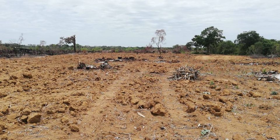 119041358 4576789115694680 4800073566841492167 o