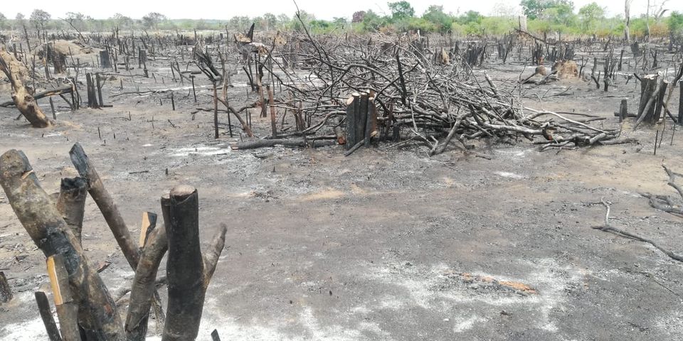 119051430 4576788842361374 8143042493983112275 o